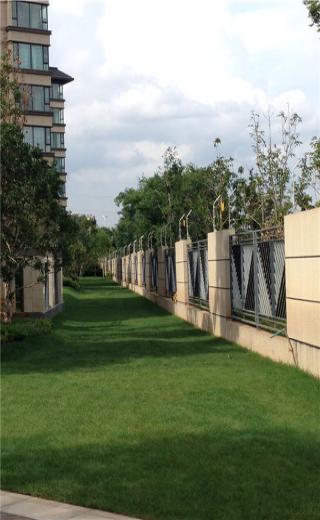 萬州某高檔小區電子圍欄案例圖片